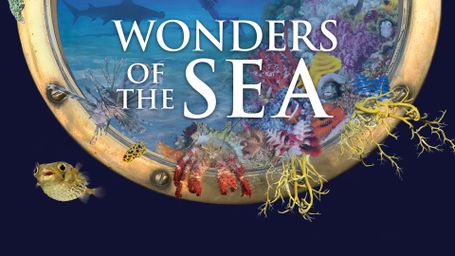 Wonders of the Sea