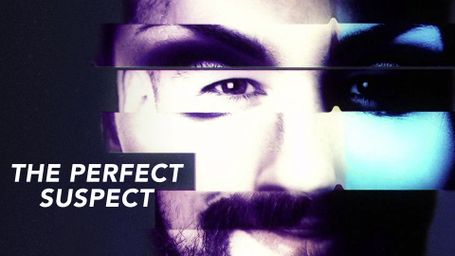 The Perfect Suspect