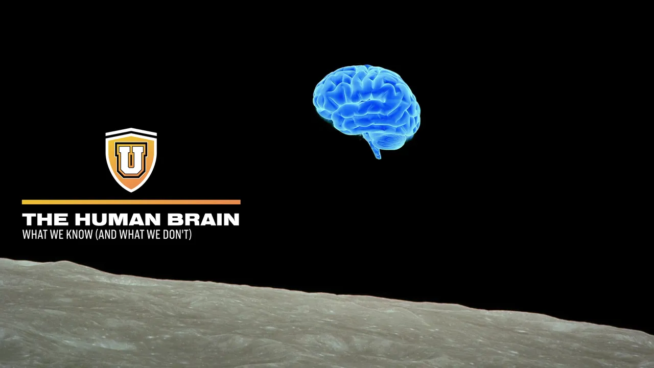 The Human Brain: What We Know (And What We Don't)