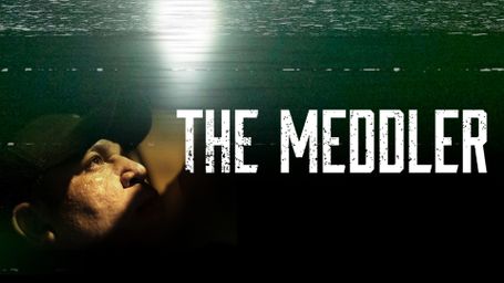 The Meddler