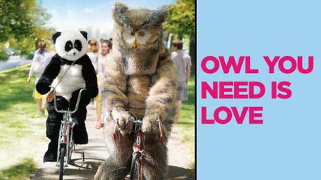Owl You Need Is Love