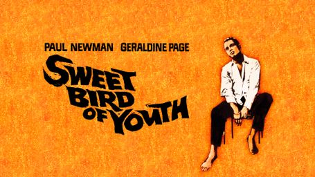 Sweet Bird of Youth