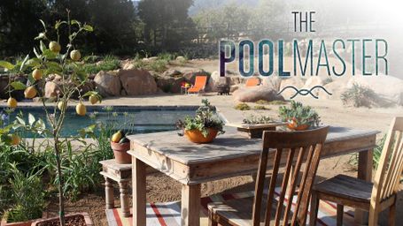 The Pool Master