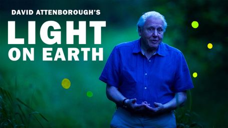 Attenborough's Life That Glows