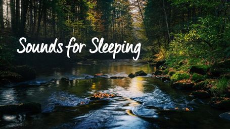 Sounds for Sleeping: Calming Nature Sounds with Forest Sounds