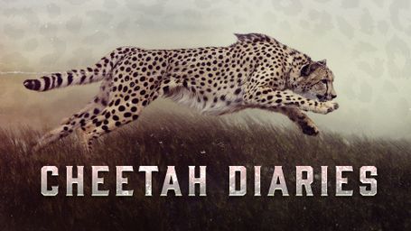 The Cheetah Diaries