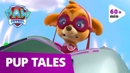 Excitement With The Paw Patrol from Season 8