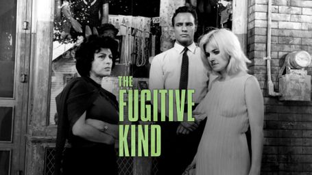 The Fugitive Kind