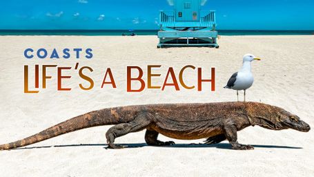 Life's a Beach