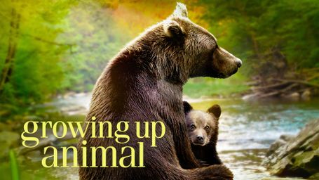 Growing Up Animal