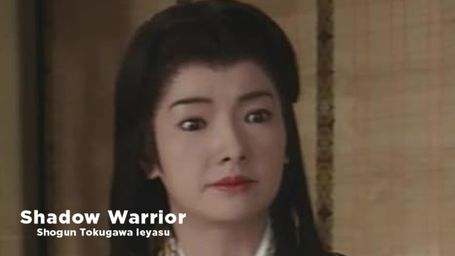 Shadow Warrior: Shogun Tokugawa Ieyasu