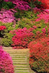 Most Beautiful Gardens In The World - 4K TV Wallpapers to Make any Space Special (NO SOUND)