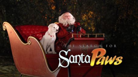 The Search for Santa Paws