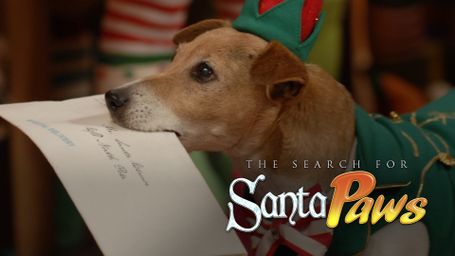 The Search for Santa Paws