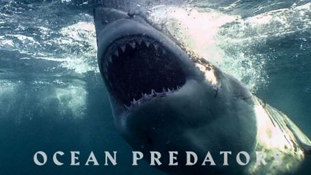 Ocean Predators