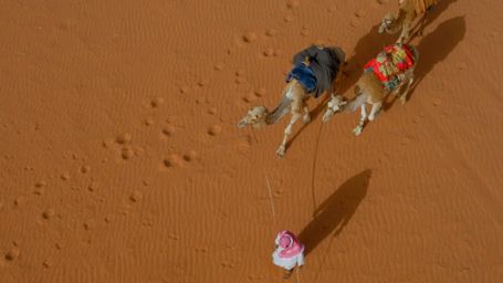 Desert of Wadi Rum