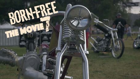 Born Free 7