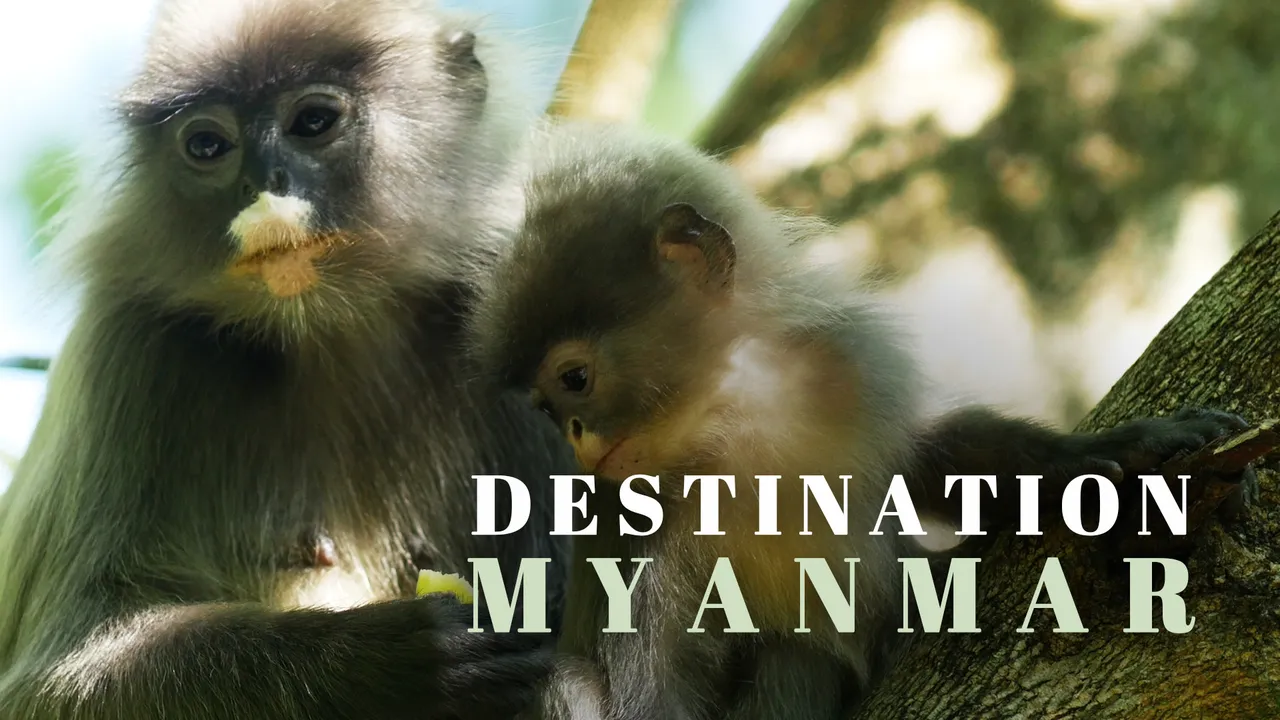 Destination Myanmar