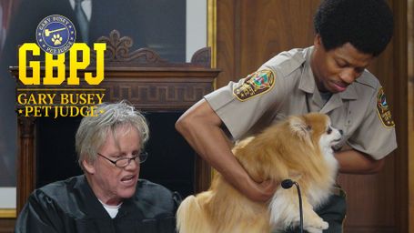 Gary Busey, Pet Judge