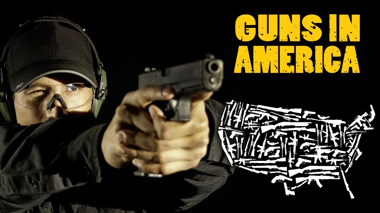 After Newtown: Guns in America