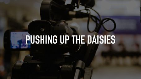 Pushing Up the Daisies