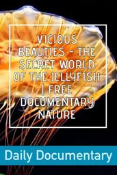 Vicious Beauties - The Secret World Of The Jellyfish | Free Documentary Nature