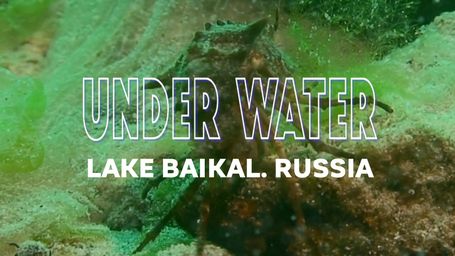 Underwater. Lake Baikal. Russia