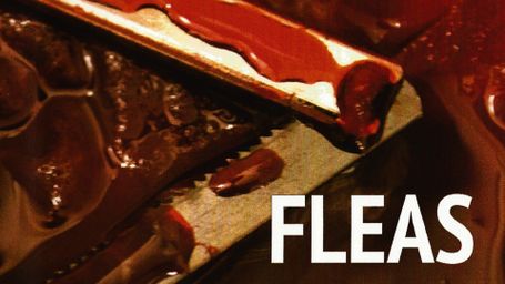 Fleas