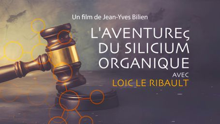 L'aventure du silicium organique