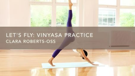 Let's Fly: Vinyasa Practice