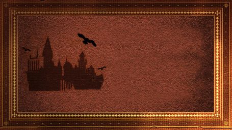 Harry Potter Magic