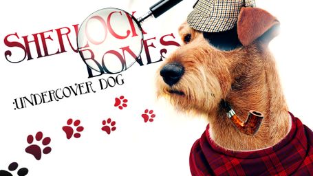 Sherlock Bones, Undercover Dog