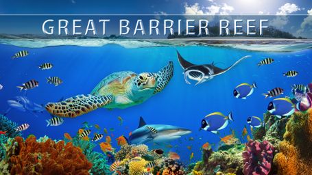 Great Barrier Reef 4K