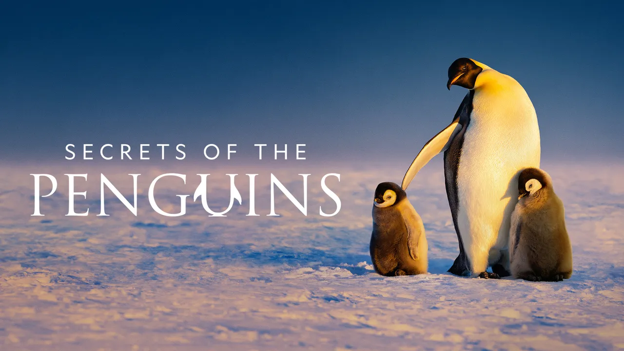 Secrets of the Penguins