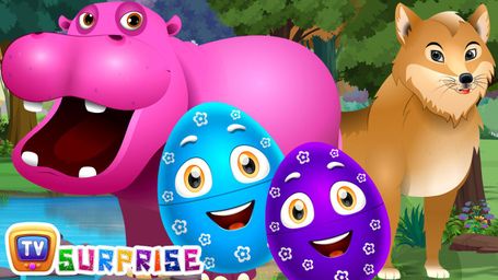 Wild Animals & Animals Sounds