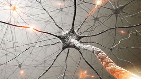 Our Changing Brain