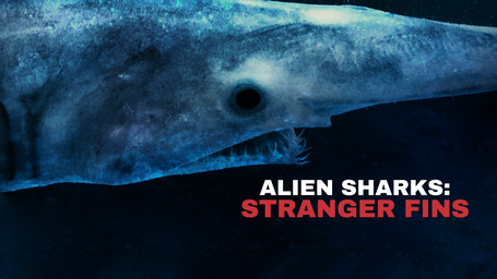 Alien Sharks: Stranger Fins