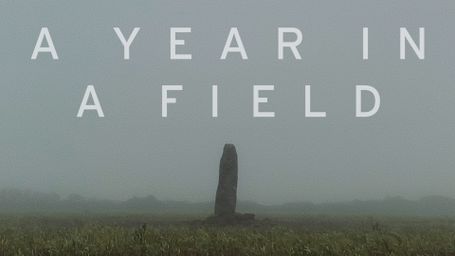 A Year in a Field