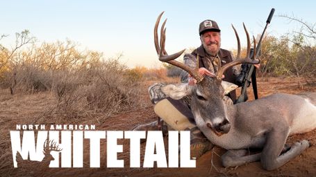 North American Whitetail