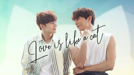 Love Is Like a Cat