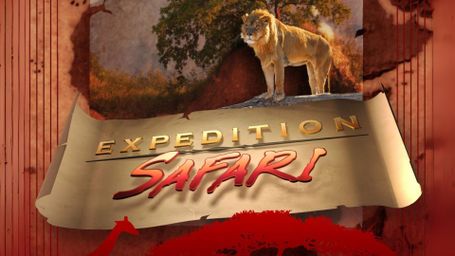 Outdoor World - Expedition Safari