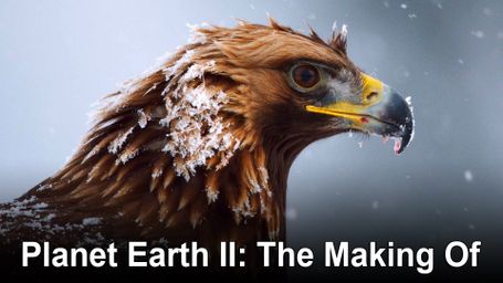 Planet Earth II: The Making Of