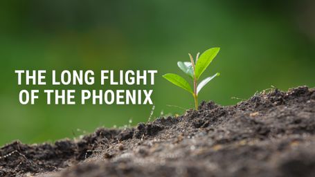 The Long Flight of the Phoenix