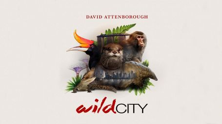 David Attenborough's Wild City