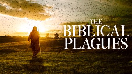 The Biblical Plagues