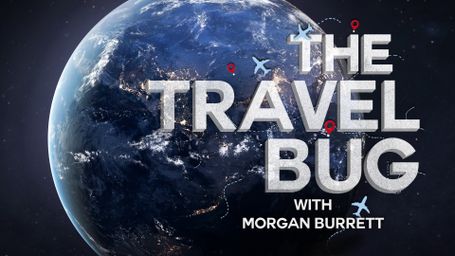 The Travel Bug