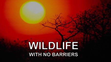 Wildlife with No Barriers