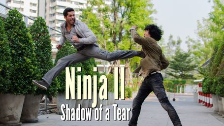 Ninja II: Shadow of a Tear