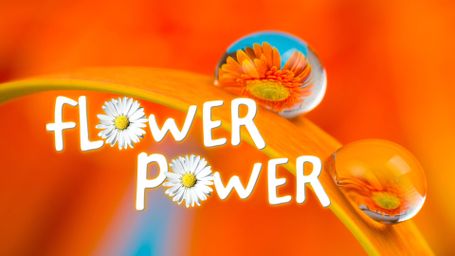 Flower Power