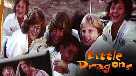 The Little Dragons